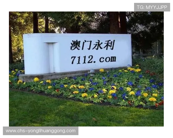 遇到澳门永利网址打不开时如何有效排查并恢复正常访问的实用技巧